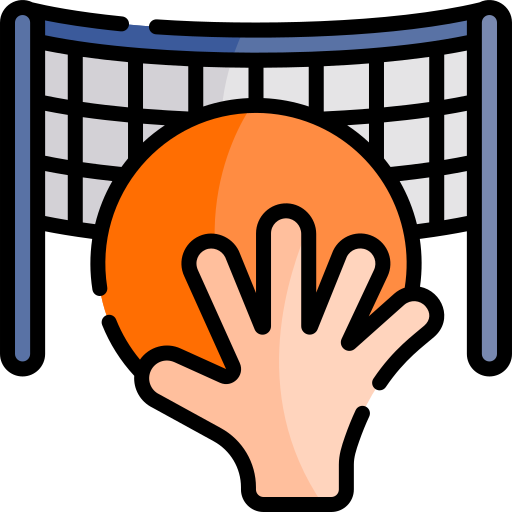 Volleyball